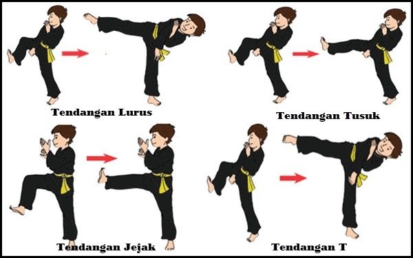 Pencak Silat Technique Image