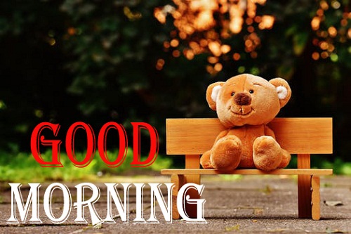 Cute Good Morning Teddy Bear Image