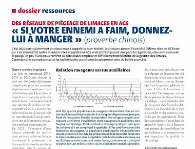 Réseau de piégeage des limaces en agriculture de conservation des sols