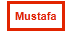 CSS button