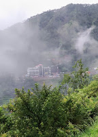 Shimla Views