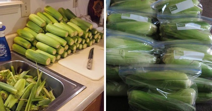 How To Properly Freeze Corn On The Cob