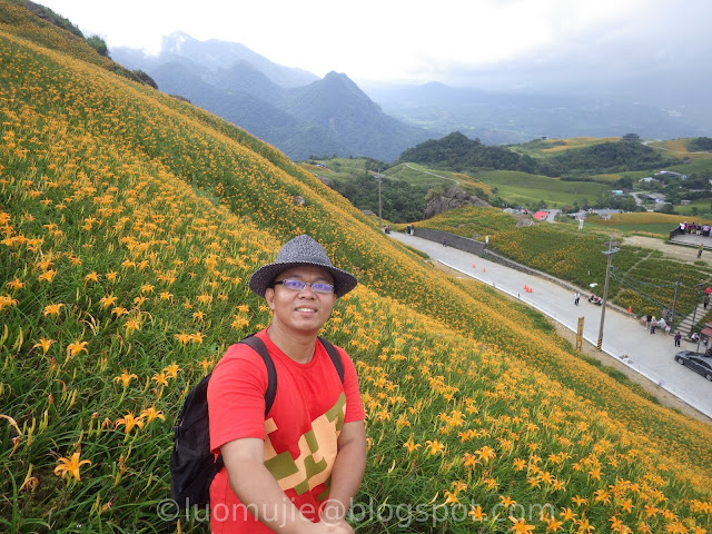 Hualien Sixty Stone Mountain daylily flowers