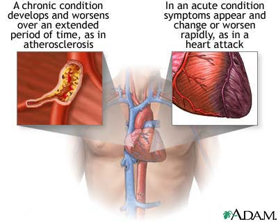 Asthma+attack+diagram