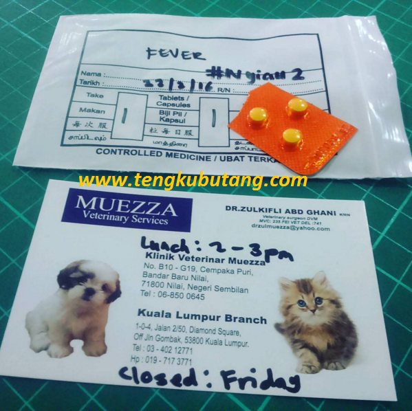Ubat Gigi Untuk Kucing - Contoh Karo