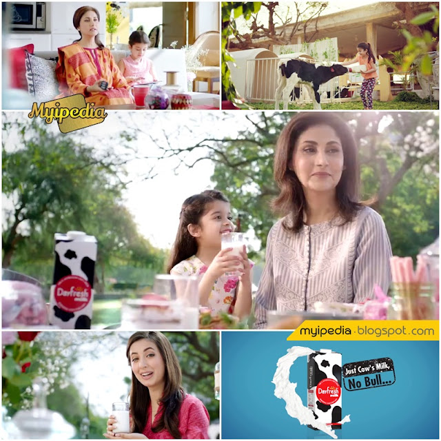 Dayfresh TVC 2016 - Just Cow Milk No Bull 