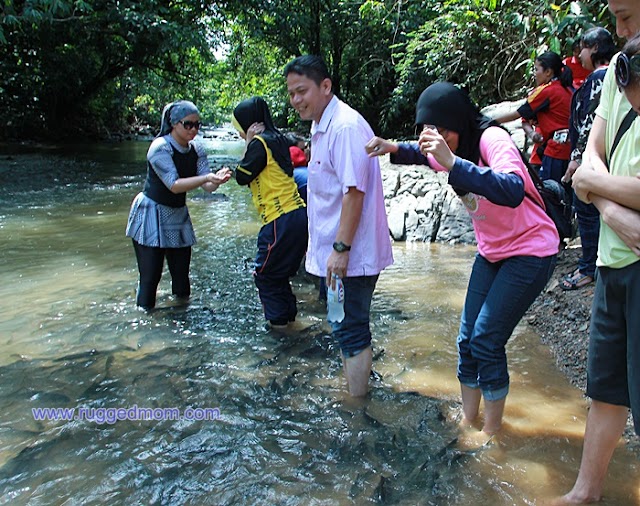 Sabah..ke Tagal Sg Moroli, Kg Luanti