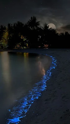 Noite na Praia Wallpaper Celular