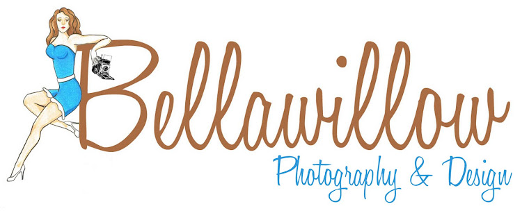 Bellawillow Shop Blog