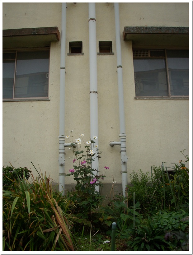 20111030_130700