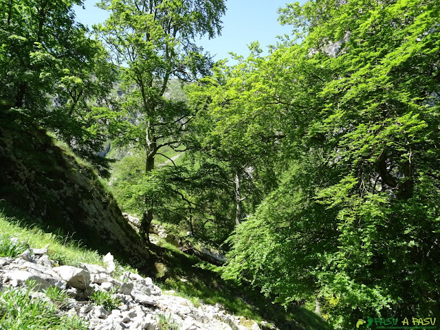 Salida hacia la Canal Llastrosa en Peñamellera Alta