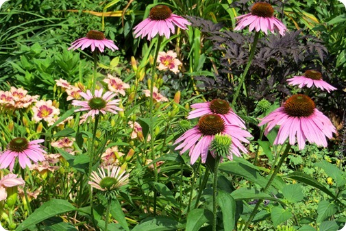 Pittsfield Garden Tour