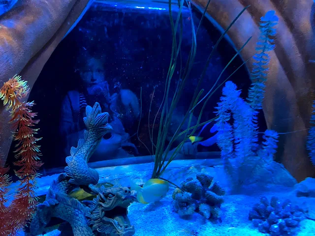 children looking in a tank of fish at SEA LIFE great yarmouth