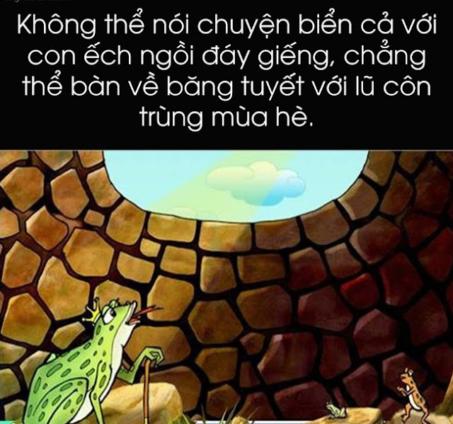 HÃY NHỚ: 'ĐỪNG BAO GIỜ CÃI NHAU VỚI MỘT ĐỨA NGU'