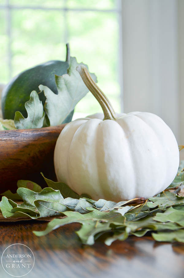 Simple white fall pumpkin and oak leaves.  | www.andersonandgrant.com