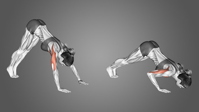 Pike Push Up