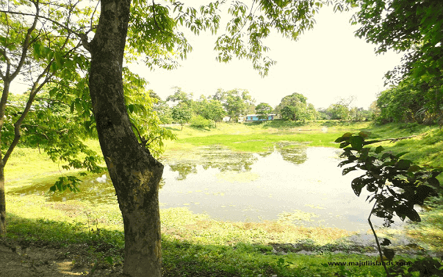 Water Pond Of Majuli Island