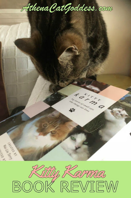 Kitty Karma Book Review