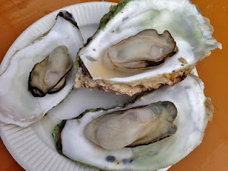 Oysters