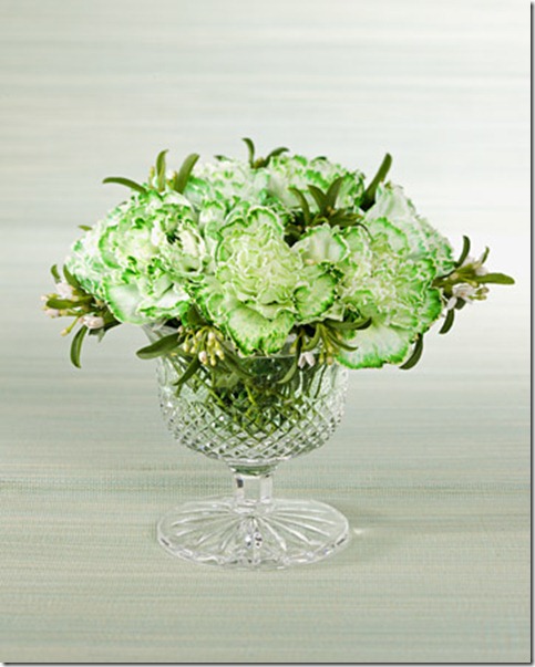 4117_031209_colorcarnations_xl