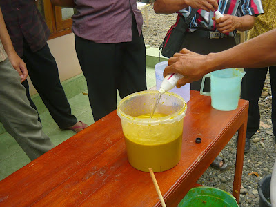 Nutrisi Perangsang Buah