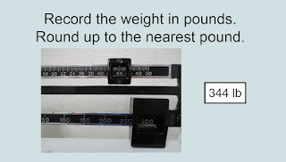 The weight is 344 lb.