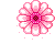 Gif flor