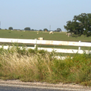 View album