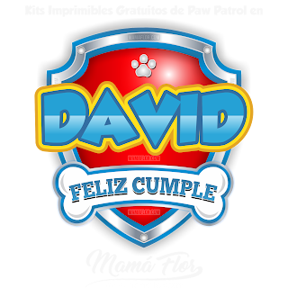 Logo de Paw Patrol: DAVID