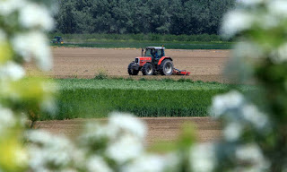 Πρώτη Αγροτική ή Νεολιθική Επανάσταση στη Πελοπόννησο