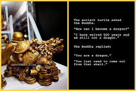 The-Buddha-and-the-Turtle