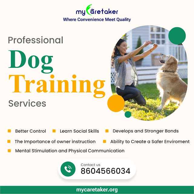 Professional Dog Training 