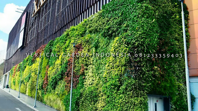 VERTICAL GARDEN INDONESIA SPESIALIS JASA PEMBUATAN VERTICAL GARDEN DI PURBALINGGA JAWA TENGAH DAN DI SELURUH WILAYAH JAWA TENGAH DENGAN TENAGA YANG PROFESIONAL DAN DAPAT DI PERCAYA YANG SELALU MENGUTAMAKAN SEBUAH MUTU DAN KUALITAS PEMASANGAN VERTICAL GARDEN/TAMAN DINDING, JASA TUKANG TAMAN VERTICAL PURBALINGGA JAWA TENGAH, JASA VERTICAL GARDEN PURBALINGGA JAWA TENGAH