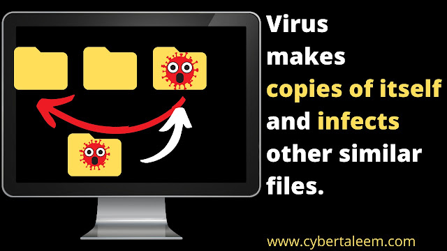 How computer Virus makes its multiple copies