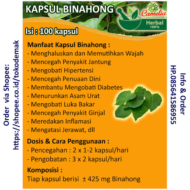 agen binahong semarang, alamat jual kapsul binahong, binahong, binahong pengering luka, binahong semarang, grosir kapsul binahong, harga kapsul binahong asli, harga kapsul binahong di apotik, harga kapsul binahong di apotik semarang, harga kapsul binahong semarang, harga kapsul ekstrak binahong, harga kapsul extra binahong, harga kapsul extra binahong asli, harga kapsul herbal binahong, jual ekstrak kapsul binahong, jual kapsul binahong, jual kapsul binahong asli, jual kapsul binahong di jogja, jual kapsul binahong di semarang, jual kapsul binahong semarang, jual kapsul daun binahong, jual kapsul extra binahong, jual kapsul pengering luka, kapsul binahong, kapsul binahong aman, kapsul binahong amanah, kapsul binahong amanah herbal, kapsul binahong asli, kapsul binahong batam, kapsul binahong di semarang, kapsul binahong herbal, kapsul binahong semarang, kapsul binahong yang asli, kapsul binahong yogyakarta, kapsul daun binahong, kapsul exstra binahong, kapsul extra binahong, kegunaan binahong semarang, khasiat kapsul ekstrak binahong, manfaat kapsul ekstrak binahong, manfaat kapsul extra binahong, tempat jual kapsul binahong, toko jual kapsul binahong