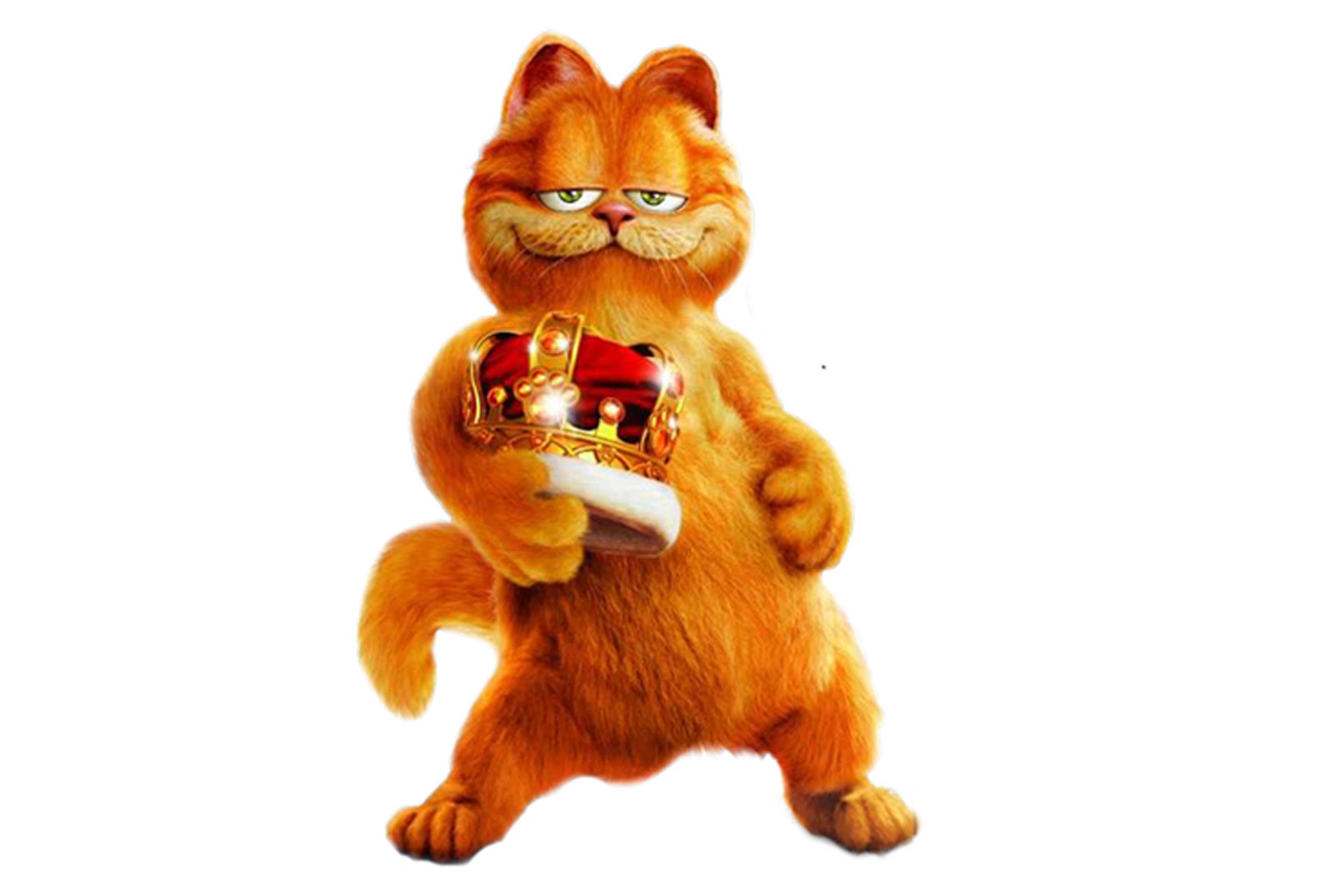  Gambar  Wallpaper  Lucu  Gambar  Kucing Garfield Terbaru 2021 