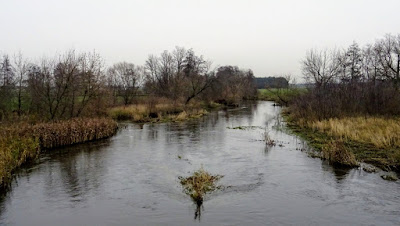 Zdjęcie: