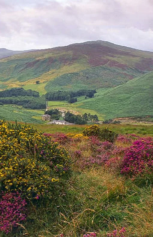 Wicklow Mountains,Ireland