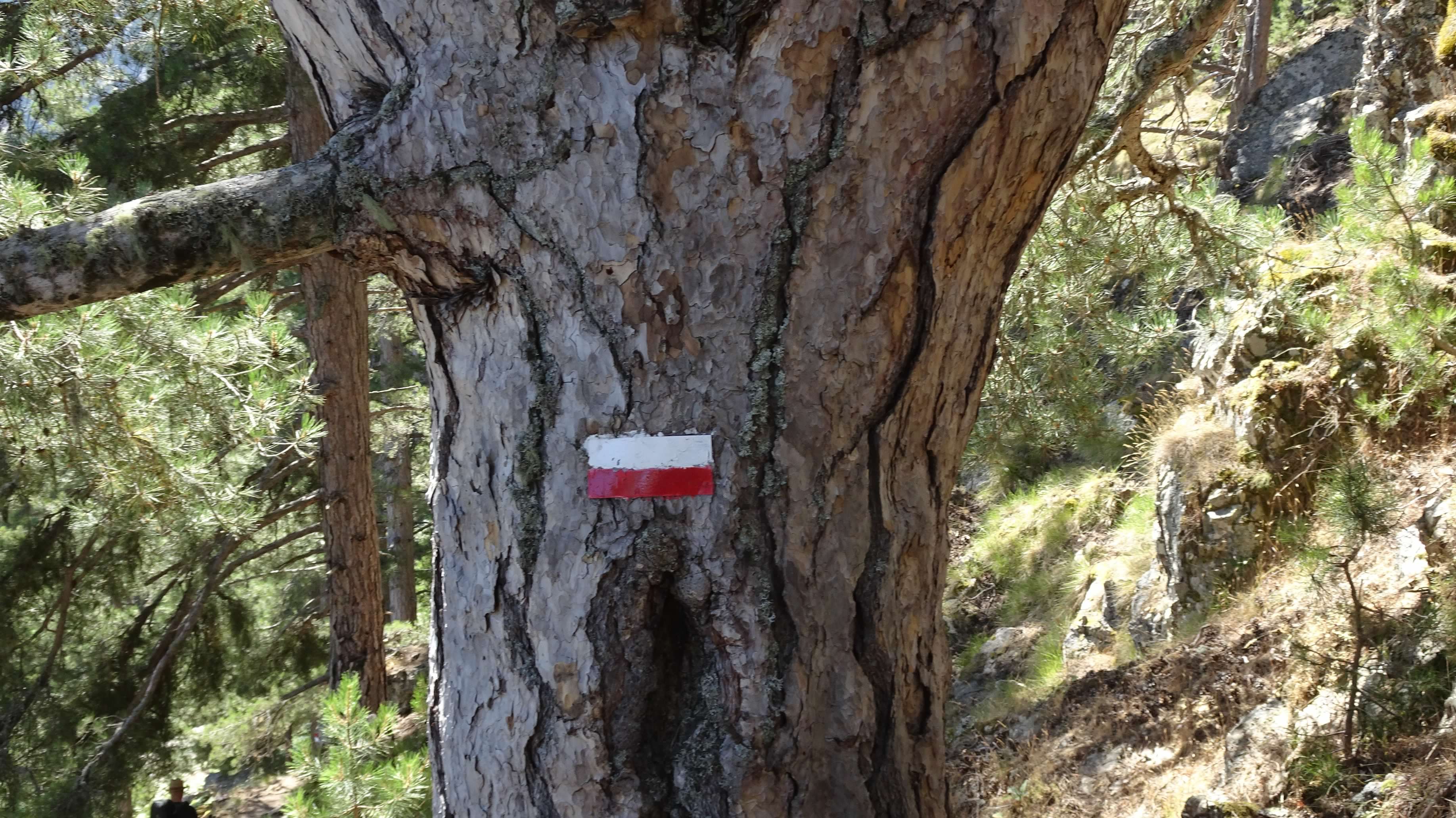 The GR20 Blaze, the trail marker that would guide Marianne and her intrepid explorers along the Corsican trail.