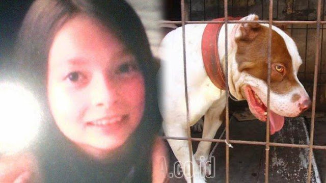 Ibunya Lebih Sibuk Mengurusi Anjing, Gadis 13 Tahun Nekat Bunuh Diri Dan Tinggalkan Pesan Mengharukan