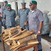 Customs Seize N680m Elephant Tusks, Others  