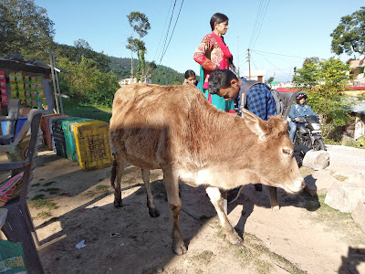 Khirsu in Uttarakhand