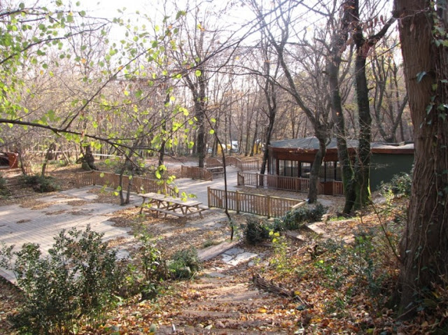 غابة فاتح في إسطنبول