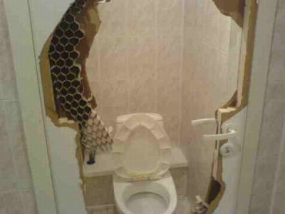 Unusual and Funny Toilets