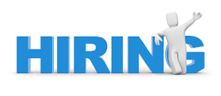 Hiring Recruiters - Diverse lynx