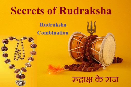 Secrets of Rudraksha : Powerful 12 Faced Rudraksha Combination : 12 मुखी रुद्राक्ष की शक्ति संयोजन क्या है? :only4us.in