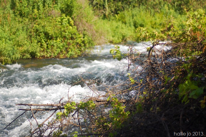 Tel Dan