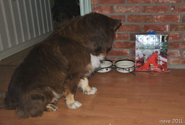 advent 028
