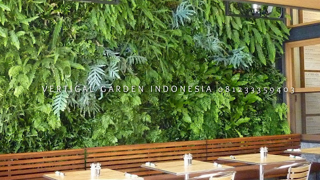 VERTICAL GARDEN INDONESIA SPESIALIS JASA PEMBUATAN VERTICAL GARDEN DI PURBALINGGA JAWA TENGAH DAN DI SELURUH WILAYAH JAWA TENGAH DENGAN TENAGA YANG PROFESIONAL DAN DAPAT DI PERCAYA YANG SELALU MENGUTAMAKAN SEBUAH MUTU DAN KUALITAS PEMASANGAN VERTICAL GARDEN/TAMAN DINDING, JASA TUKANG TAMAN VERTICAL PURBALINGGA JAWA TENGAH, JASA VERTICAL GARDEN PURBALINGGA JAWA TENGAH