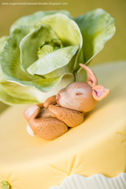 Close up view of handmade gumpaste baby bunny sleeping under lettuce